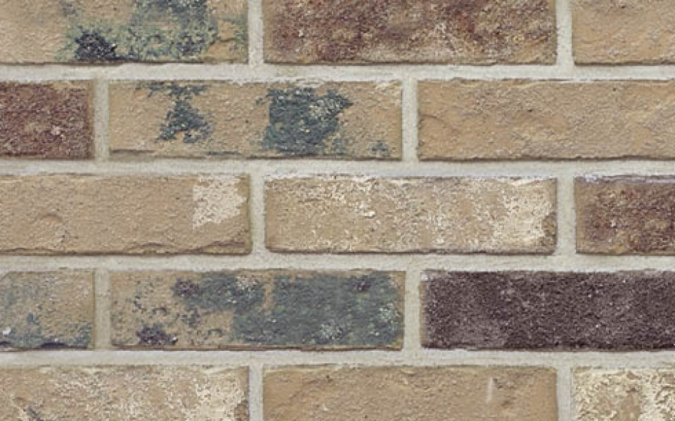 cascade Thompson Building Materials